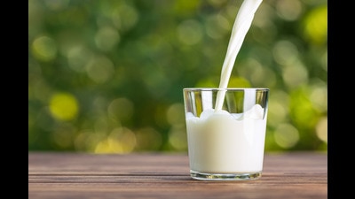 Dairy farmers of Punjab on Saturday threatened to stage an indefinite dharna in front of Verka Milk Plant, Ludhiana, on August 24 against the non-implementation of the economic package announced by state government. (Shutterstock)