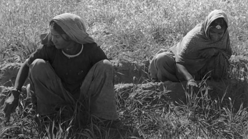 The Green Revolution not only made India self-sufficient in food grain but also made it among the largest producers of some key crops in the world. The Green Revolution not only made India self-sufficient in food grain but also made it among the largest producers of some key crops in the world.