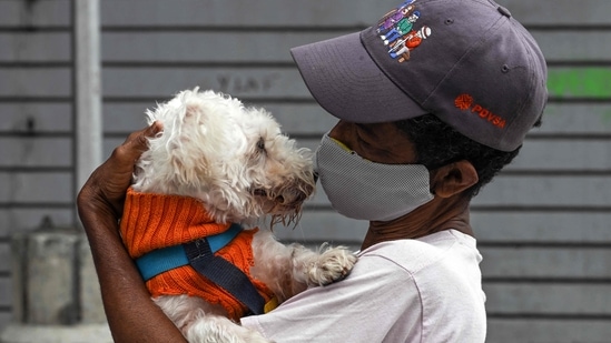 As living expenses rise, cash-strapped Britons give up their pets(HT Gallery)