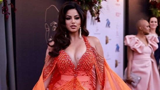 Harnaaz Sandhu steals show at Miss South Africa 2022 in deep-neck bodycon gown, says 'namaste' amid cheers&nbsp;(Instagram)