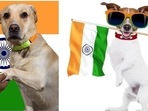 Freedom for pets means health, joy and unconditional love. With the proper nutrition, care and protection, we can give them the space to be their best selves.(Pinterest) Freedom for pets means health, joy and unconditional love. With the proper nutrition, care and protection, we can give them the space to be their best selves.(Pinterest)