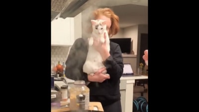 The cat accompanies her humans while they are cooking. (Instagram/@indoor_outdoor_kat) The cat accompanies her humans while they are cooking. (Instagram/@indoor_outdoor_kat)