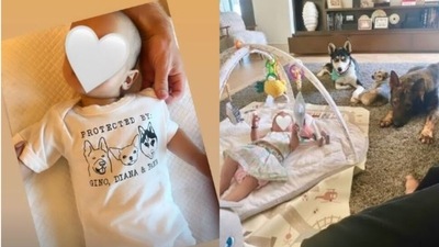 Priyanka Chopra's Sunday was spent with all her ‘babies'. Priyanka Chopra's Sunday was spent with all her ‘babies'.