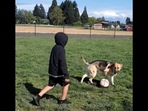 The dog and the kid play with a soccer ball. (Reddit/@aquiran) The dog and the kid play with a soccer ball. (Reddit/@aquiran)