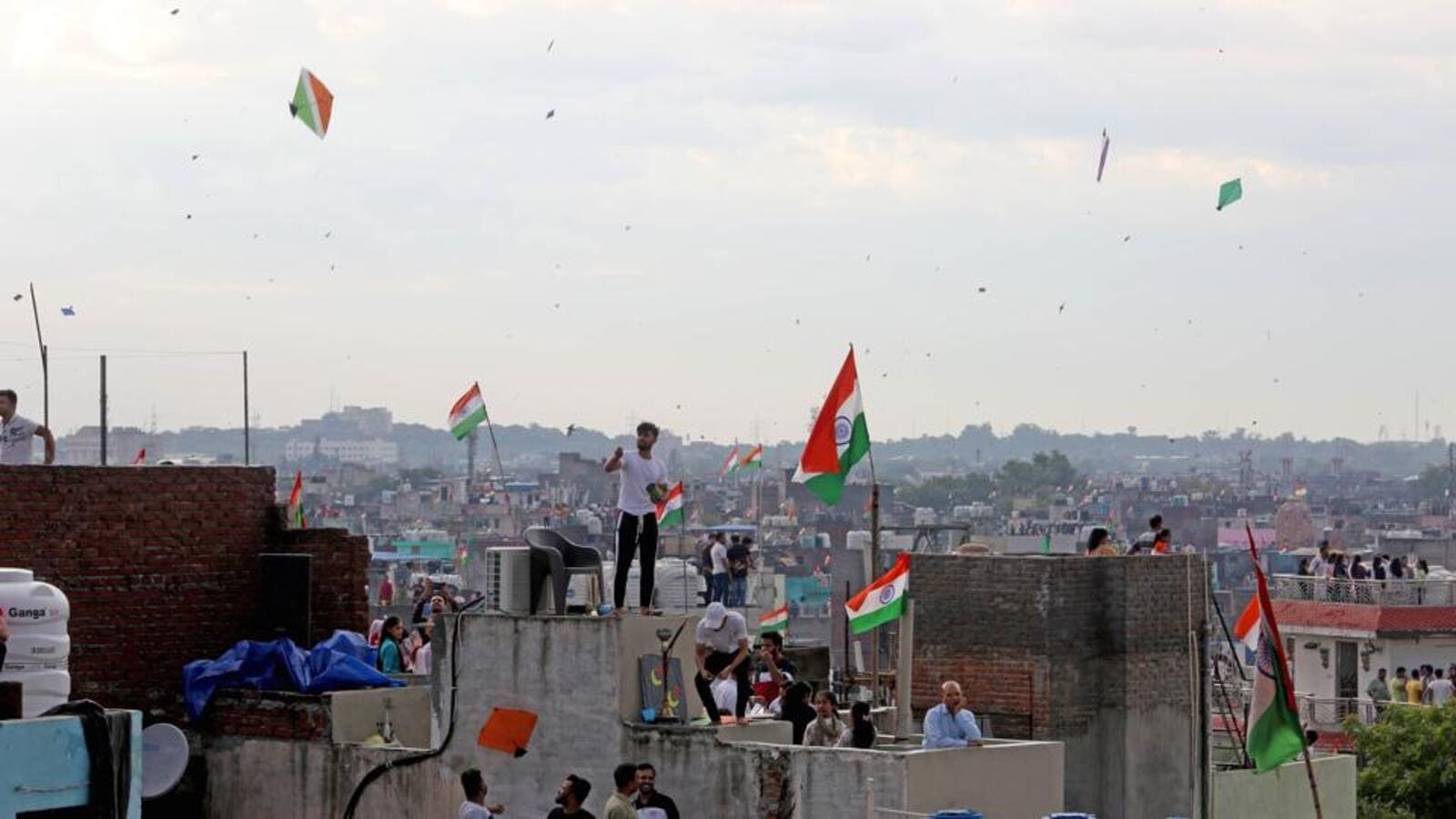 In August, kites, migration season lethal mix for birds