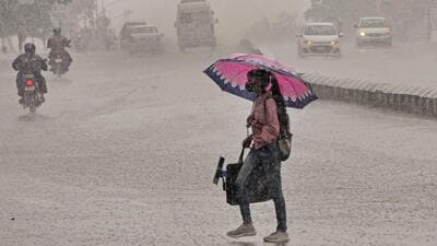 A commuter braces heavy rainfall in Bhopal. (ANI Photo)