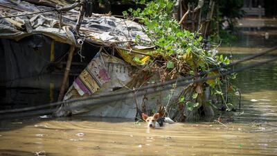 Rainfall was likely to continue in Odisha. (Hindustan Times (Representative)) Rainfall was likely to continue in Odisha. (Hindustan Times (Representative))