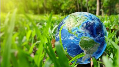 PPCB collected a sample to ascertain pollution level in Ludhiana’s Buddha Nullah. (Shutterstock)