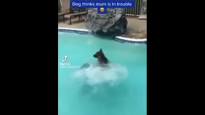 The image, taken from the Reddit video, shows the dog ‘saving’ its pet mom. (Reddit/@westcoastcdn19)