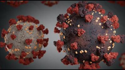 In the week ending August 14, as many as six people lost their lives to the virus -- four in Chandigarh and two in Mohali. Those who lost their battle to the virus in Chandigarh were fully vaccinated but above the age of 60 and suffering from co-morbid conditions. (HT File) In the week ending August 14, as many as six people lost their lives to the virus -- four in Chandigarh and two in Mohali. Those who lost their battle to the virus in Chandigarh were fully vaccinated but above the age of 60 and suffering from co-morbid conditions. (HT File)
