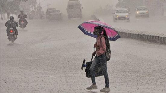 A commuter braces heavy rainfall in Bhopal. (ANI Photo)