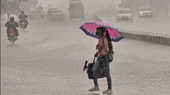 A commuter braces heavy rainfall in Bhopal. (ANI Photo)