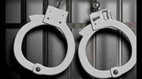 Police on Tuesday said it arrested seven persons for smuggling of arms and drugs, brought from across the border in two separate cases.