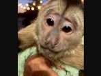 The image that the police department shared about an emergency call they received from a zoo that baffled them.