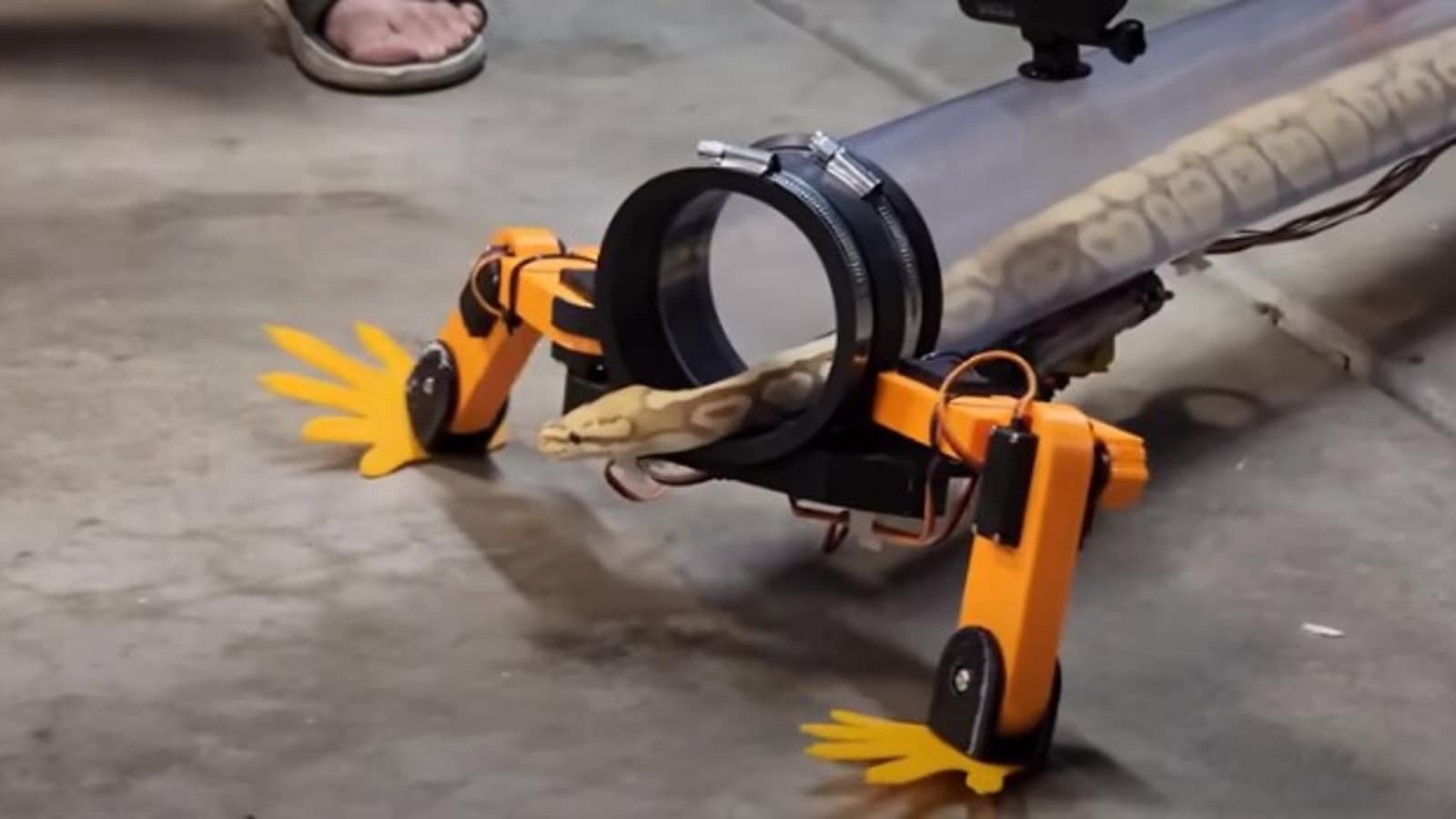 engineer-gives-robotic-legs-to-snake-to-help-it-walk-youtube-reacts