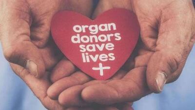 The organs of three deceased patients from Punjab gave 11 patients at PGIMER a second chance at life over the last fortnight. (Image for representational purpose)