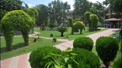 The neighbourhood park in Chandigarh’s Sector 40 C, maintained by MIG-2 Welfare Association, is known for a variety of medicinal plants and roses. (Ravi Kumar/ Hindustan Times)