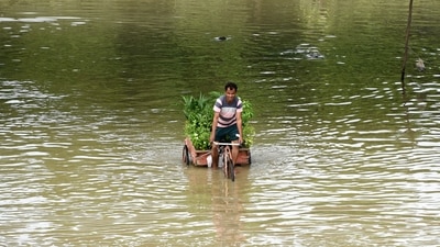 A forecast issued by the Central Water Commission said the river is likely to rise to 205.25 metres by 9 pm and remain stable thereafter. (ANI)