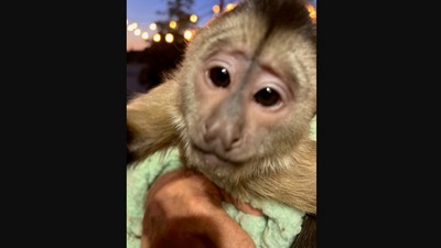 The image that the police department shared about an emergency call they received from a zoo that baffled them. (Facebook/@San Luis Obispo County Sheriff's Office)