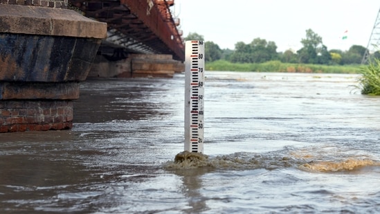 The water level of the Yamuna river crossed the warning mark of 204.5 metres in Delhi again today, August 17, with Haryana releasing more water from the Hathnikund barrage amid rains in the upper catchment areas, officials said.(ANI)