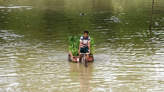 A forecast issued by the Central Water Commission said the river is likely to rise to 205.25 metres by 9 pm and remain stable thereafter.(ANI)