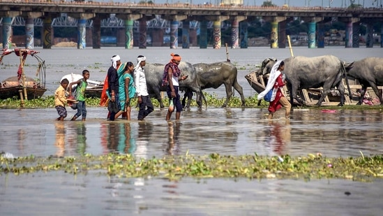 However, the water level rose again and crossed the warning mark around midnight on August 16. It stood at 204.89 metres at 7 am on August 17, the Delhi government's flood control room said.(PTI)
