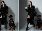 Elli AvrRam's Instagram handle can leave fashionistas awestruck. From swimsuits to traditional Indian attires, the actor can ace any look effortlessly. In her recent photoshoot, she channelled her inner cat woman and struck some bold poses in a leather trench coat and black thigh-high boots.(Instagram/@elliavrram)