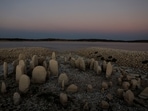 The dolmen of Guadalperal, also known as the Spanish Stonehenge, is seen due to the receding waters of the Valdecanas reservoir in the outskirts of El Gordo, Spain&nbsp;