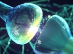 New functions for blood-brain barrier in neuron function and damage: Research(Shutterstock) New functions for blood-brain barrier in neuron function and damage: Research(Shutterstock)
