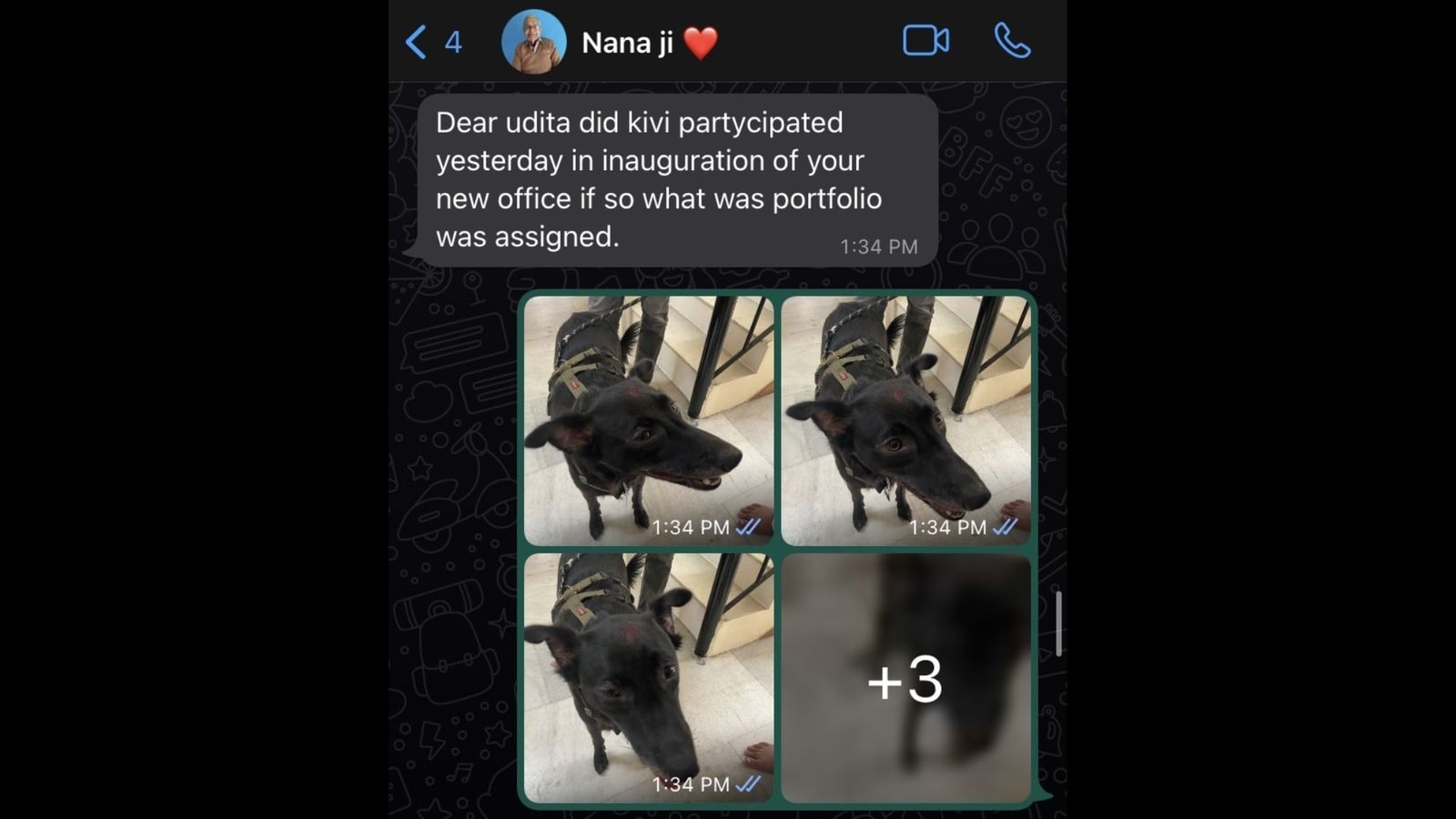 Woman's wholesome conversation with grandpa about her dog is a must-read