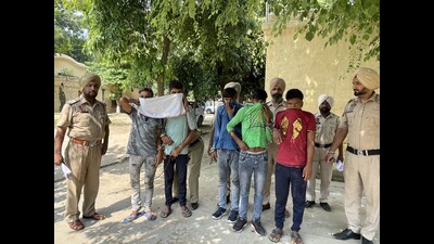 The gang of thieves in custody of Ludhiana police on Thursday. (HT Photo)