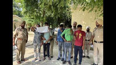 The gang of thieves in custody of Ludhiana police on Thursday.