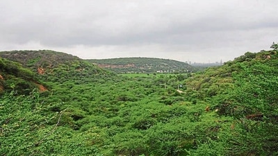 The Aravallis in Haryana. (Yogendra Kumar/HT file photo) The Aravallis in Haryana. (Yogendra Kumar/HT file photo)