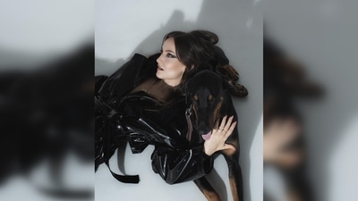 Elli AvrRam captioned her post, "A cat woman with a tamed dog is probably the best combination😉🖤 Don’t you agree?" (Instagram/@elliavrram)