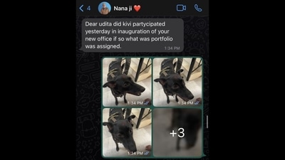 A screenshot of the WhatsApp conversation between a woman and her grandfather. (Twitter/@i_Udita) A screenshot of the WhatsApp conversation between a woman and her grandfather. (Twitter/@i_Udita)