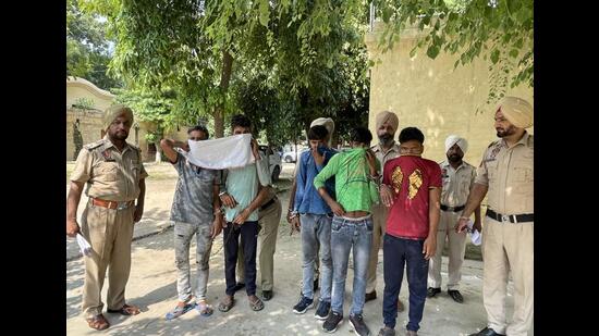 The gang of thieves in custody of Ludhiana police on Thursday.
