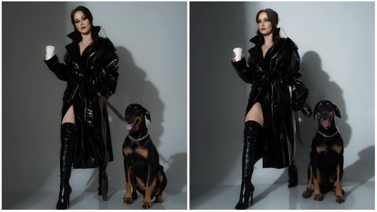 Elli AvrRam's Instagram handle can leave fashionistas awestruck. From swimsuits to traditional Indian attires, the actor can ace any look effortlessly. In her recent photoshoot, she channelled her inner cat woman and struck some bold poses in a leather trench coat and black thigh-high boots.(Instagram/@elliavrram)