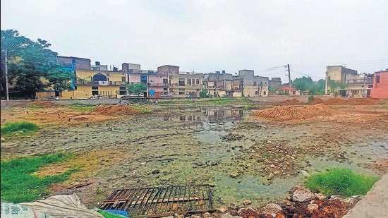 Dotted with cow dung, stray cattle and dogs, and doubling as ad hoc parking lots, several parks on the periphery of the City Beautiful are in a rundown condition with residents steering clear of them with good reason. (Ravi Kumar/ HT)
