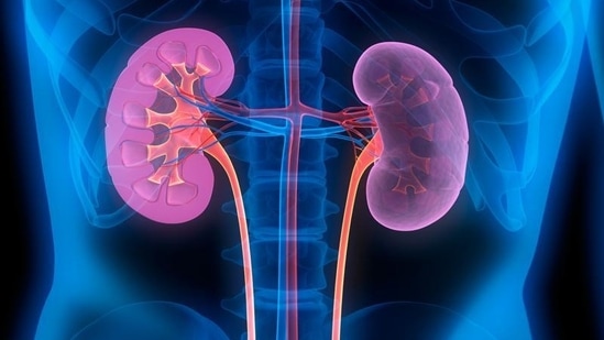 Pediatric kidney transplant patients fare better when organ is from live donor(Pinterest)