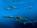 This illustration provided by J. J. Giraldo depicts a 16-meter (52-foot) Otodus megalodon shark predating on an 8-meter (26-foot) Balaenoptera whale in the Pliocene epoch, between 5.4 to 2.4 million years ago. (J. J. Giraldo via AP)