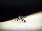 Mosquito-borne diseases: It is best to avoid the disease by keeping a check on mosquito breeding and wearing clothes that fully cover your body so that mosquito bites can be prevented.(Pixabay) Mosquito-borne diseases: It is best to avoid the disease by keeping a check on mosquito breeding and wearing clothes that fully cover your body so that mosquito bites can be prevented.(Pixabay)