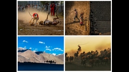 (Clockwise) Some of the photographs on display in the photo exhibition – The Muffled Victory by Parveen Jaggi;  Walking Away from Hardik;  The Beautiful Journey of Anuj Jain;  and The Chaser by Vinod Chauhan.  (HT photos)
