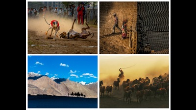 (Clockwise) Some of the photographs on display at the photo exhibition — The Muffled Victory by Parveen Jaggi; Walking Away by Hardik; The Beautiful Journey by Anuj Jain; and The Chaser by Vinod Chauhan. (HT Photos)