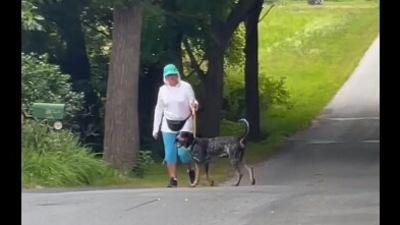 The image is taken from the viral Instagram video that shows a dog walking with his neighbour. (Instagram/@yeehaw_farm)