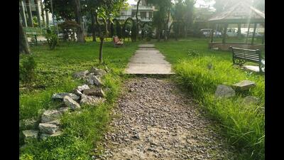 The paver blocks at the park near House Number 539 in Phase 1 are broken, while wild growth invites all sorts of insects and reptiles. (Sanjeev Sharma/HT) The paver blocks at the park near House Number 539 in Phase 1 are broken, while wild growth invites all sorts of insects and reptiles. (Sanjeev Sharma/HT)