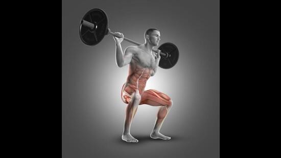 A squat or a deep knee bend, is a strength exercise in which a trainee, goes from a standing to lowering his hip till at least his thighs are parallel to the floor and then stands back up (Shutterstock) A squat or a deep knee bend, is a strength exercise in which a trainee, goes from a standing to lowering his hip till at least his thighs are parallel to the floor and then stands back up (Shutterstock)