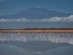 A general view of Mount Kilimanjaro from the Amboseli National Park in Kenya. Tanzania has installed high-speed internet services on the slopes of Mount Kilimanjaro, allowing anyone with a smartphone to tweet, Instagram or WhatsApp their ascent of Africa's highest mountain. State-owned Tanzania Telecommunications Corporation set up the broadband network on August 16, 2022 at an altitude of 3,720 metres (12,200 feet), with Information Minister Nape Nnauye calling the event historic. (Photo by Tanya Willmer / AFP) A general view of Mount Kilimanjaro from the Amboseli National Park in Kenya. Tanzania has installed high-speed internet services on the slopes of Mount Kilimanjaro, allowing anyone with a smartphone to tweet, Instagram or WhatsApp their ascent of Africa's highest mountain. State-owned Tanzania Telecommunications Corporation set up the broadband network on August 16, 2022 at an altitude of 3,720 metres (12,200 feet), with Information Minister Nape Nnauye calling the event historic. (Photo by Tanya Willmer / AFP)