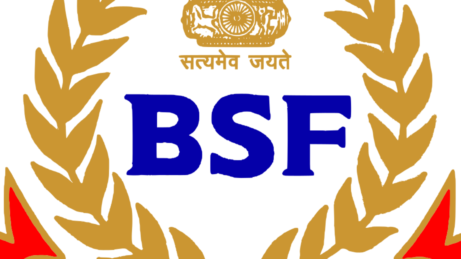 BCL/BSF Logo White
