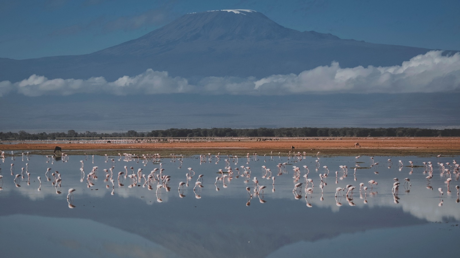 tanzania-sees-boost-in-tourist-arrivals-after-high-speed-internet-at-kilimanjaro