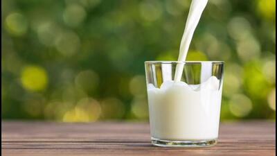 “The rise in milk prices will also lead to an increase in the price of curd, butter, cheese (paneer) and clarified butter(ghee). This will put an additional burden of around ₹500-600 on every household,” Poonam Gupta, a resident of Deep Nagar near Dandi Swami chowk , Ludhiana said. (HT FILE) “The rise in milk prices will also lead to an increase in the price of curd, butter, cheese (paneer) and clarified butter(ghee). This will put an additional burden of around ₹500-600 on every household,” Poonam Gupta, a resident of Deep Nagar near Dandi Swami chowk , Ludhiana said. (HT FILE)